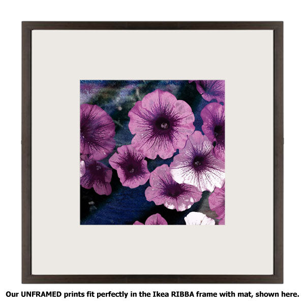Purple Petunias II